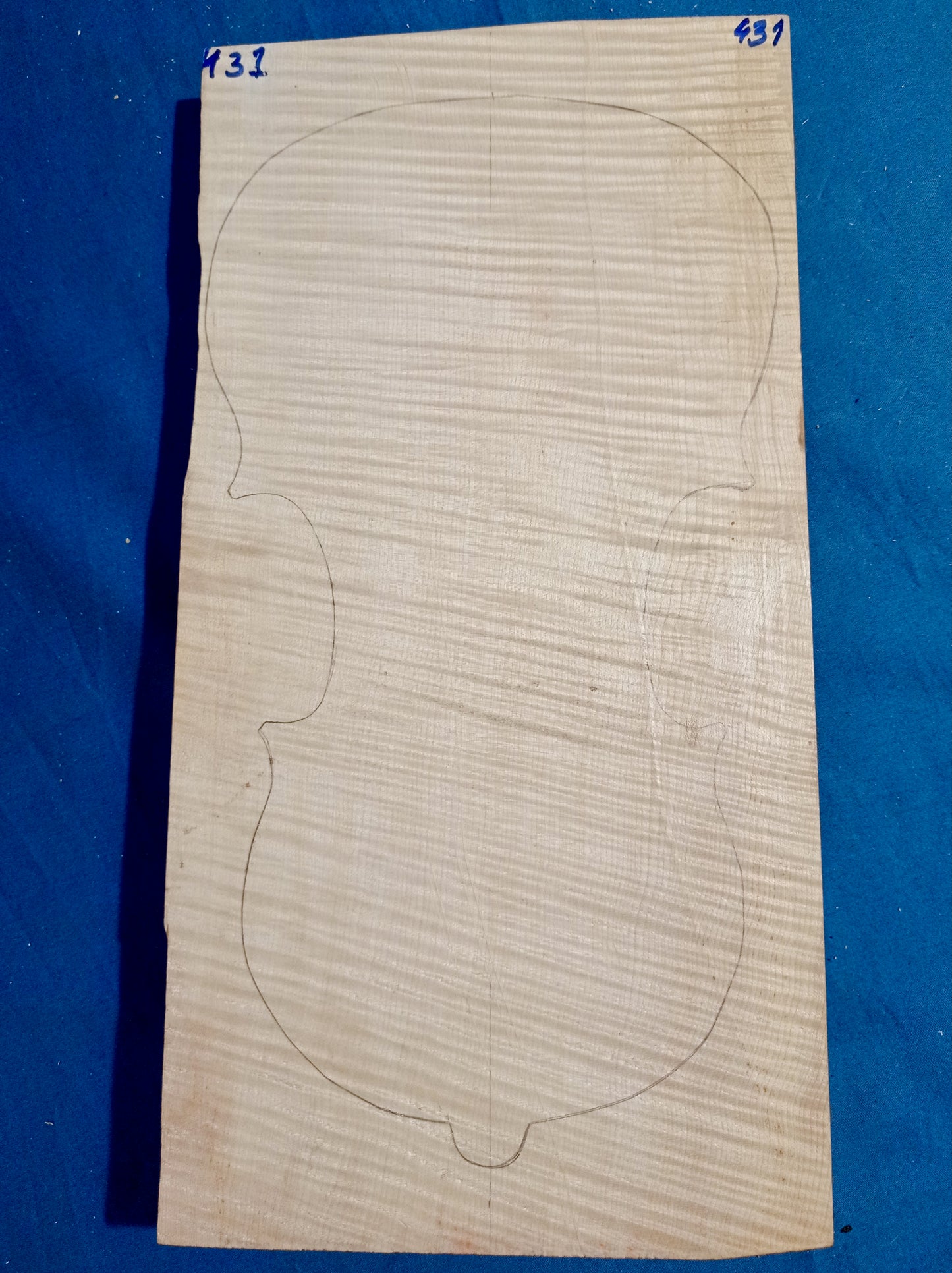 Violin One Piece Back, piece 431