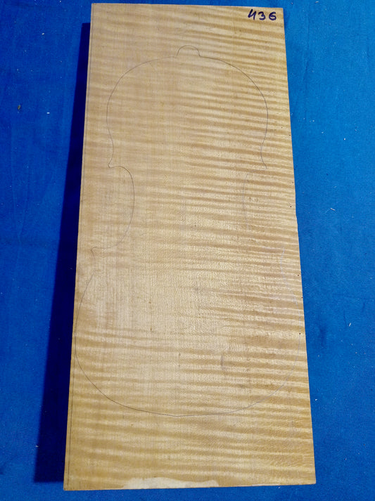 Violin One Piece Back, piece 436