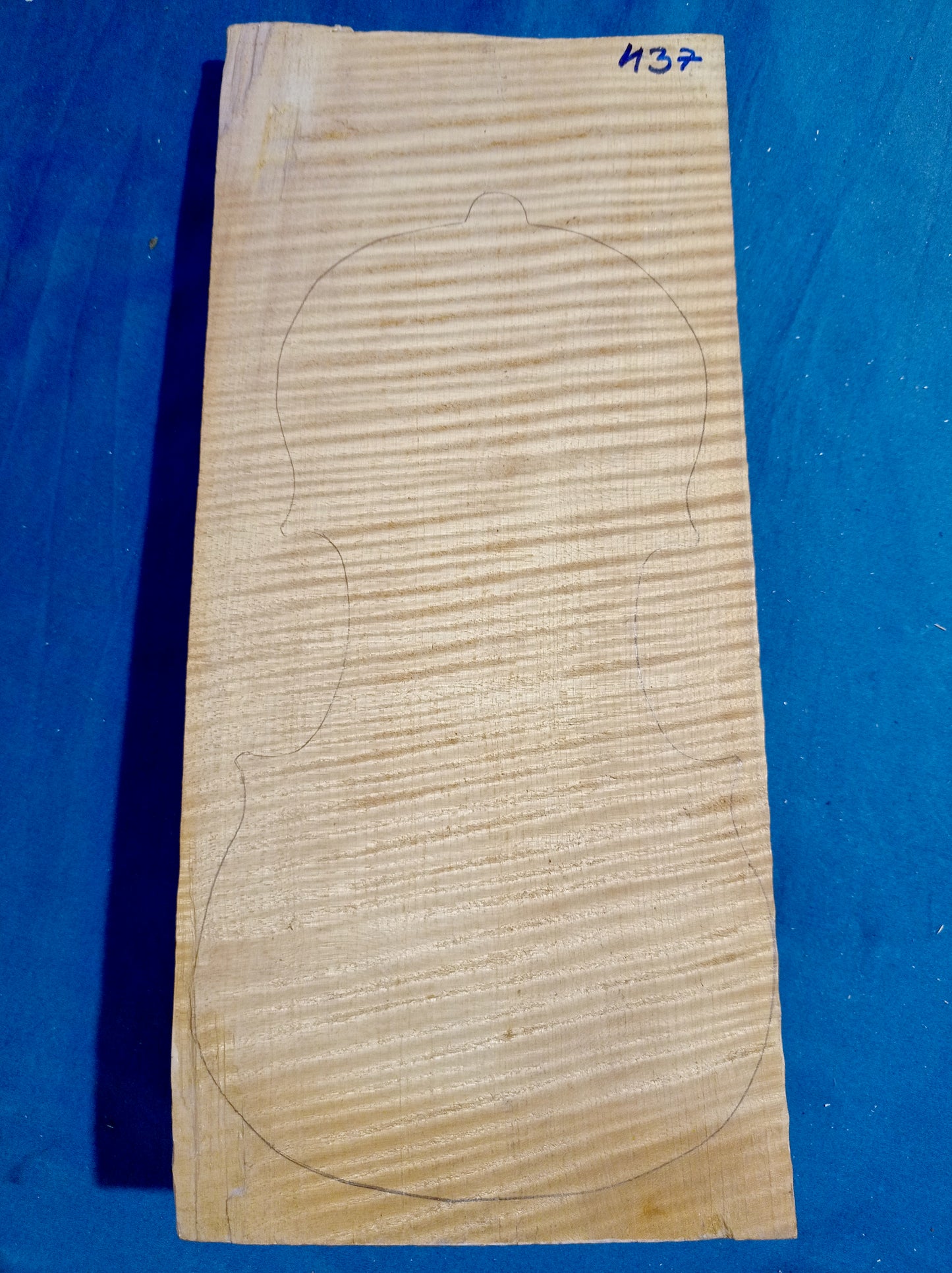 Violin One Piece Back, piece 437