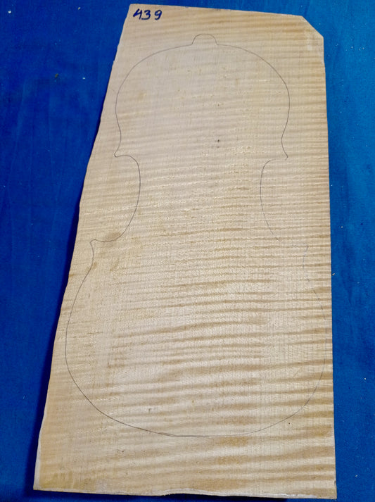 Violin One Piece Back, piece 439