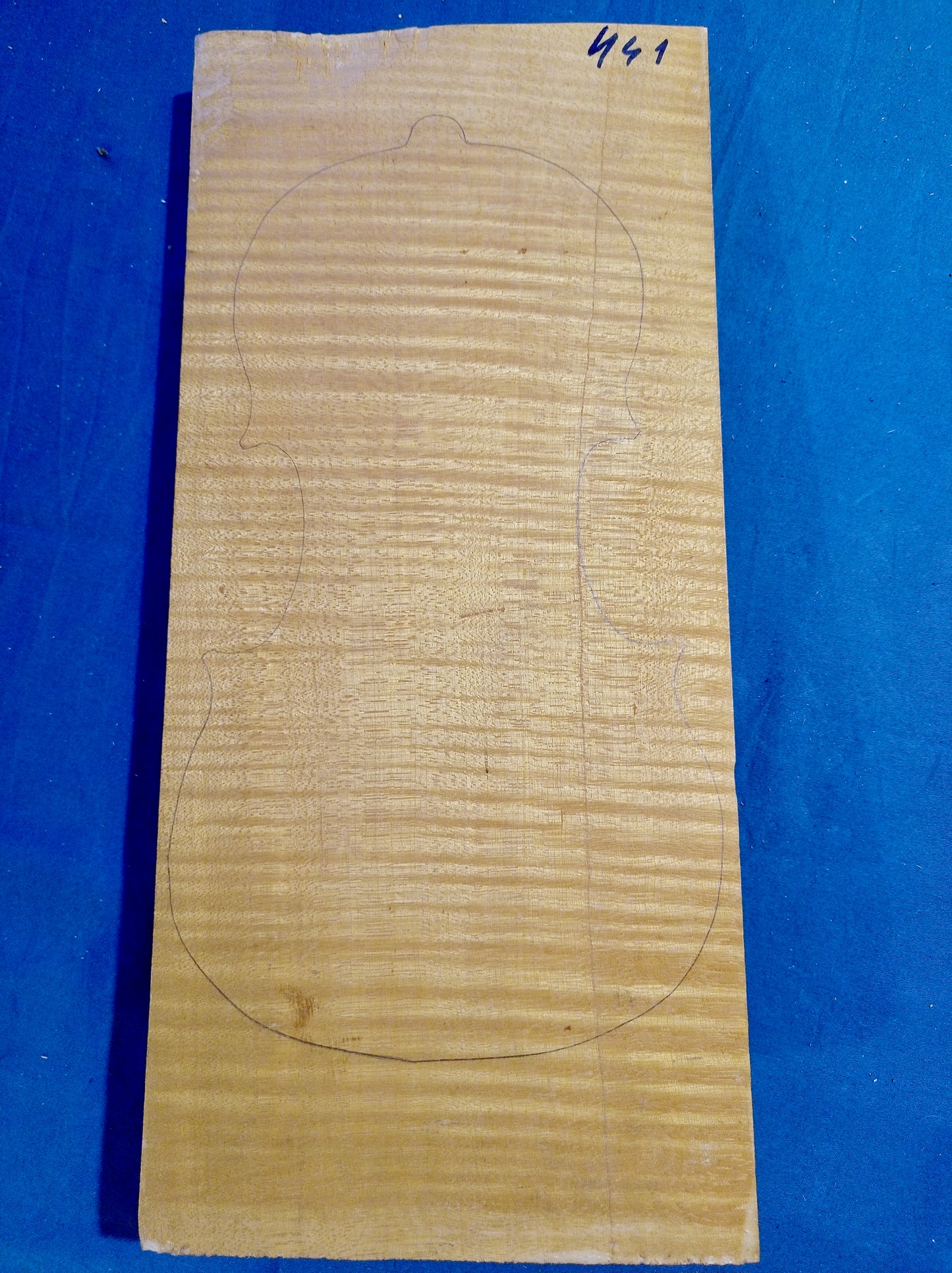 Violin One Piece Back, piece 441