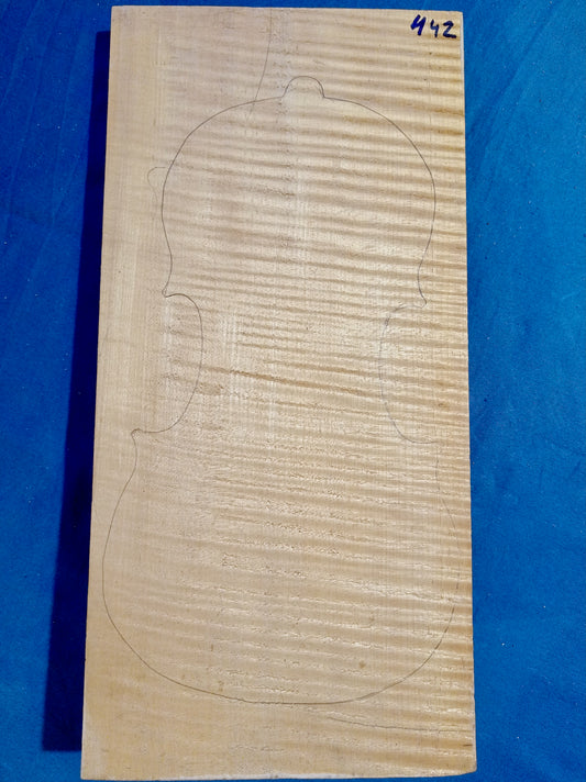Violin One Piece Back, piece 442