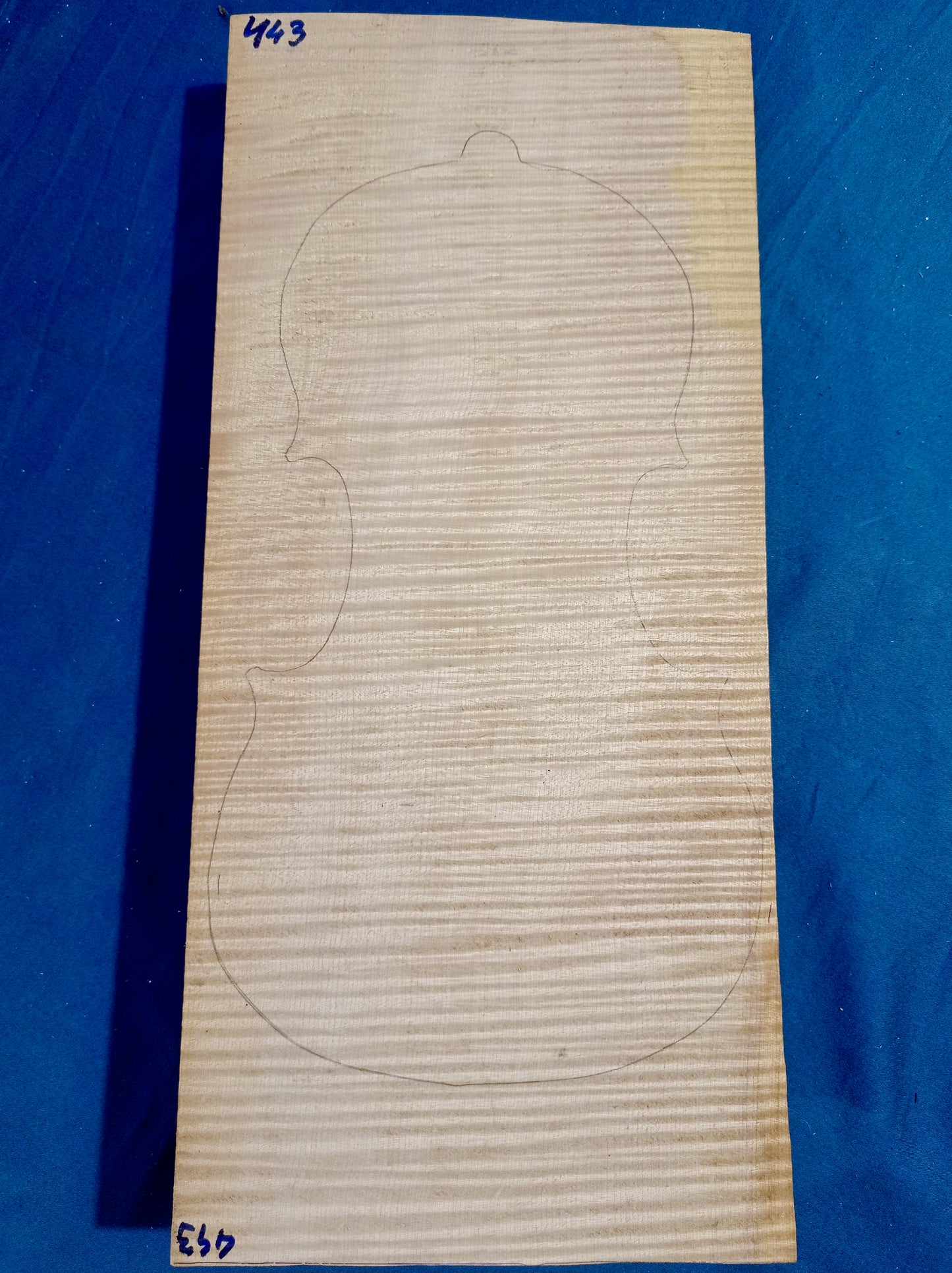 Violin One Piece Back, piece 443