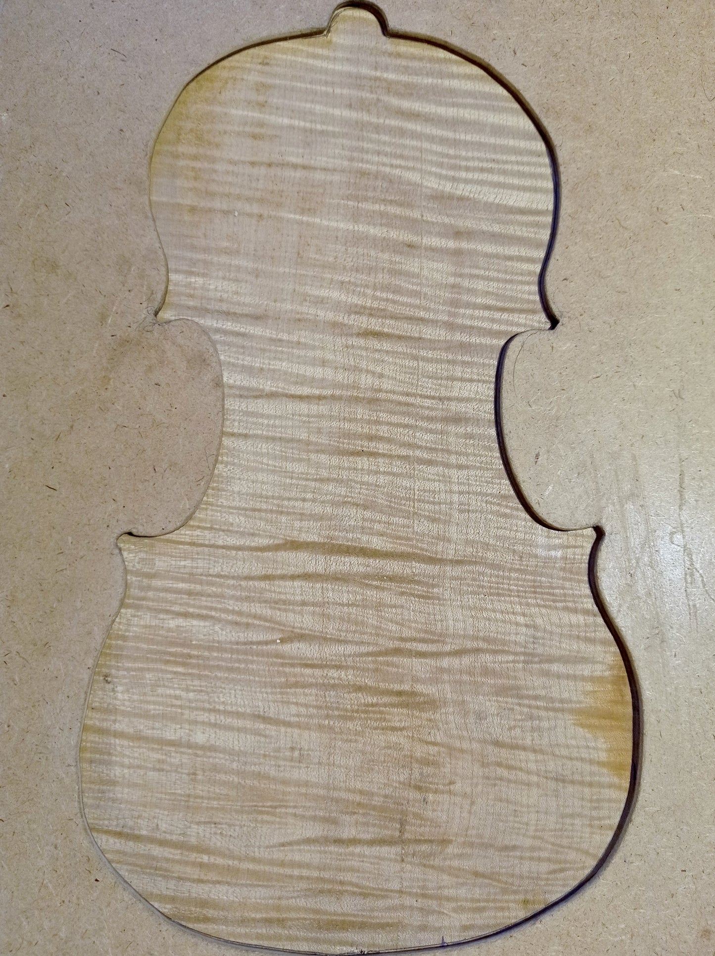 Violin One Piece Back, piece 445
