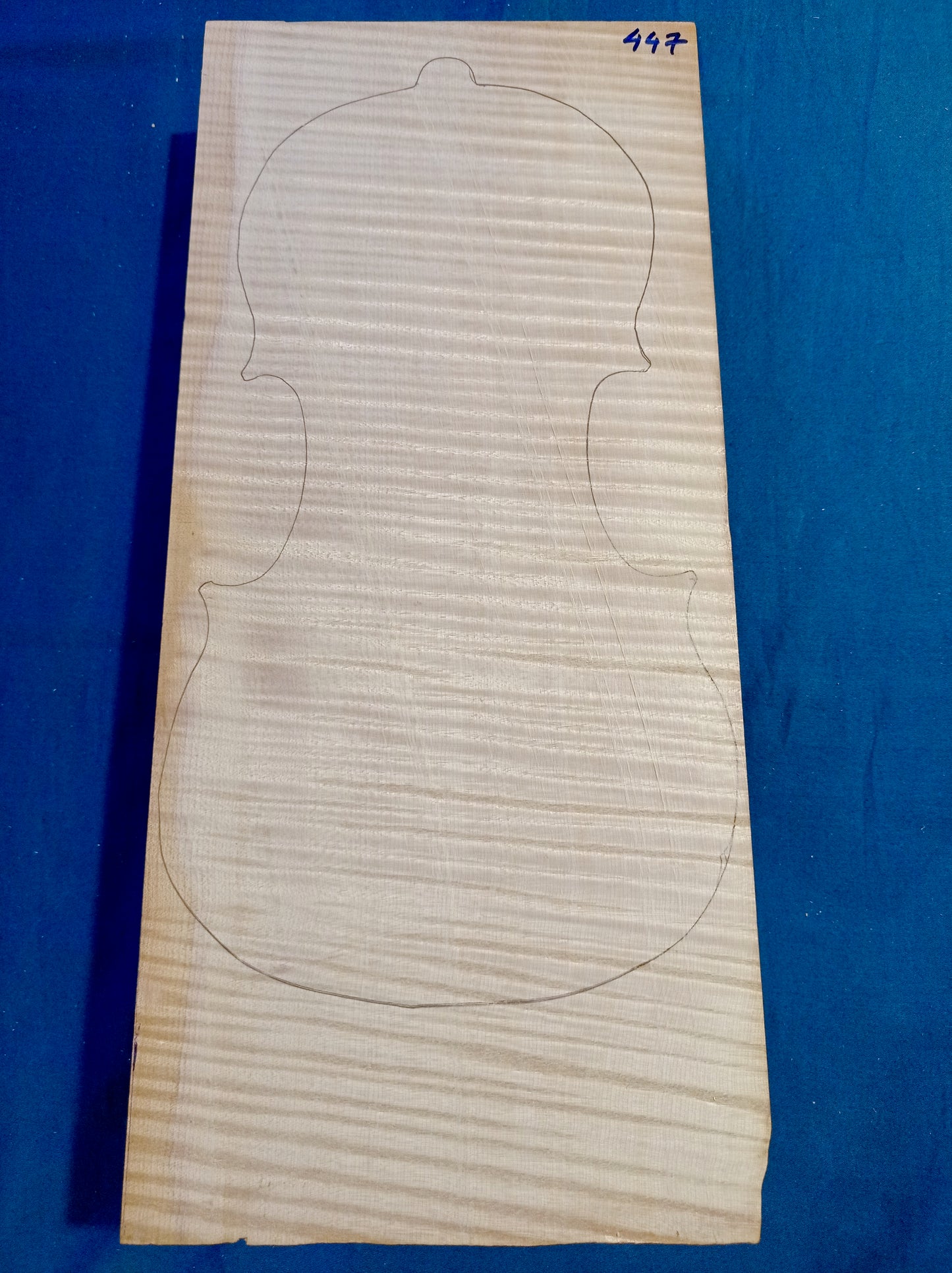 Violin One Piece Back, piece 447