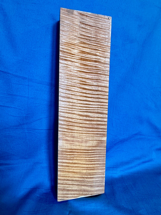 Violin Two Piece Back - Twins, piece 4