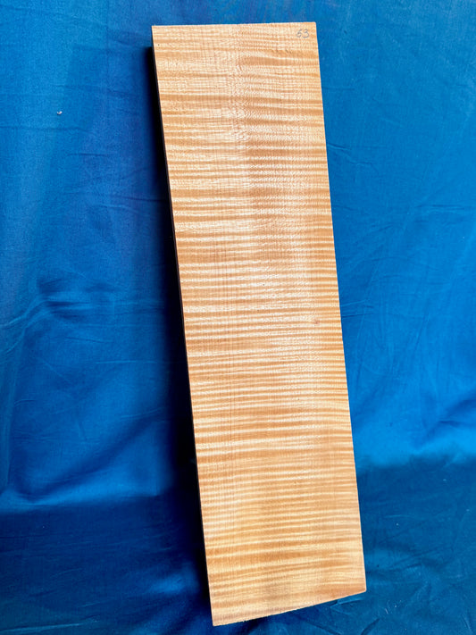 Violin Two Piece Back - Twins, piece 63