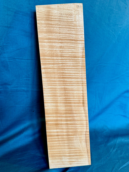 Violin Two Piece Back - Twins, piece 75