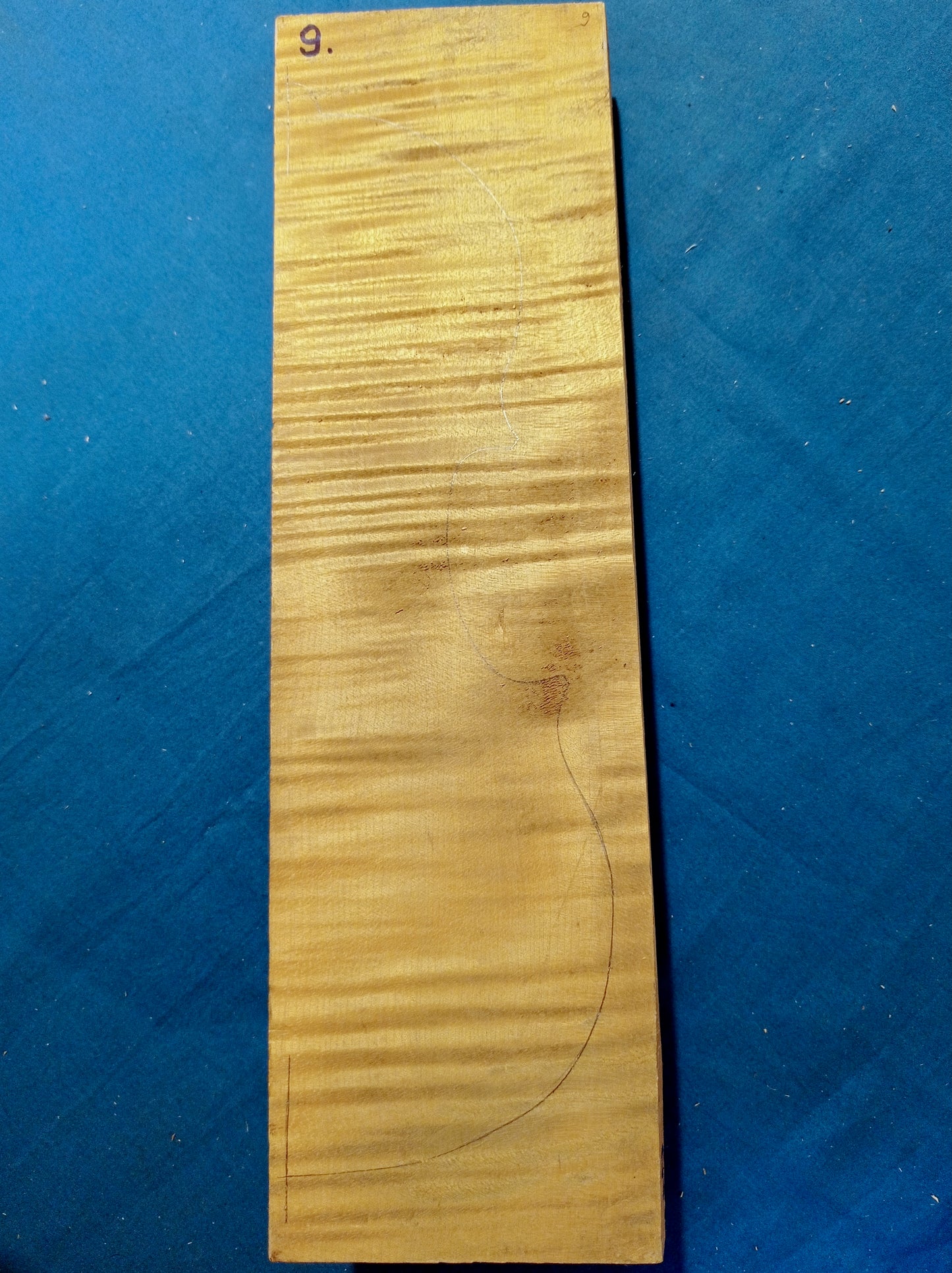 Violin Two Piece Back - Twins, piece 9