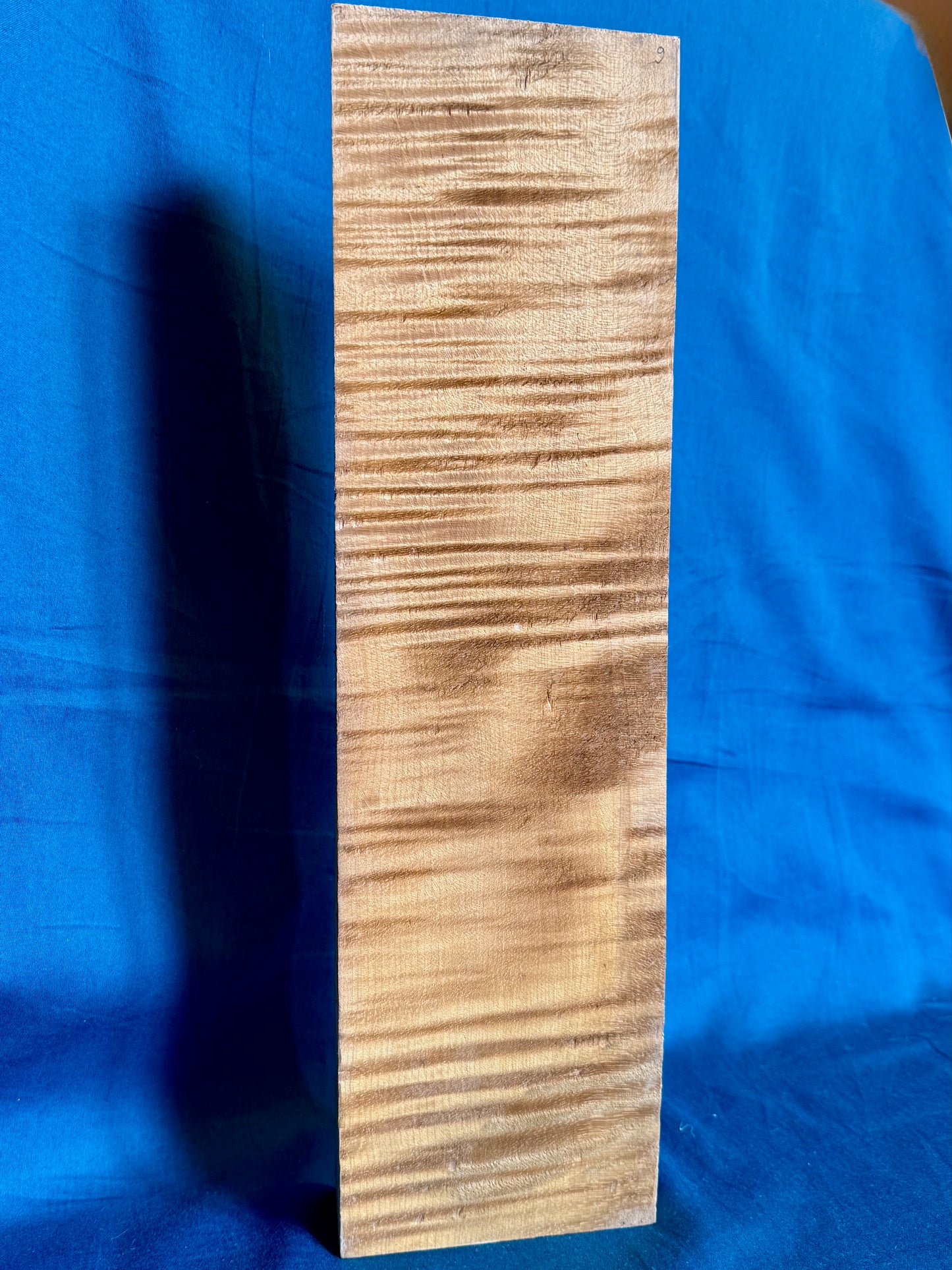 Violin Two Piece Back - Twins, piece 9